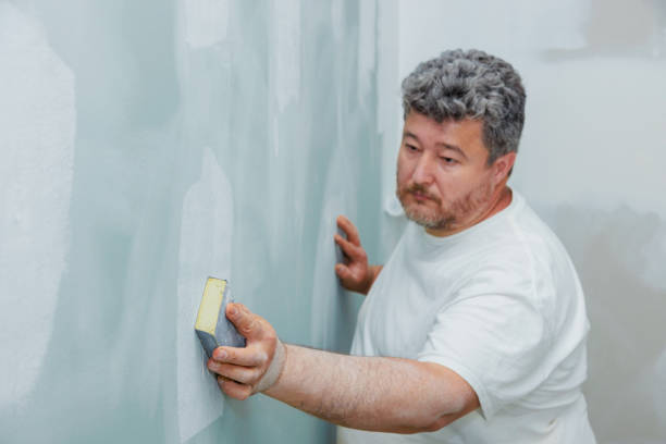 Best Mold Remediation for Healthcare Facilities  in Overton, TX